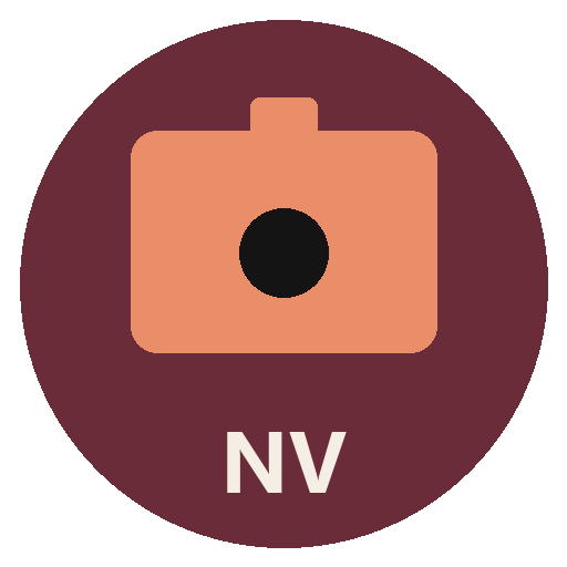 Logo NVCleanstall